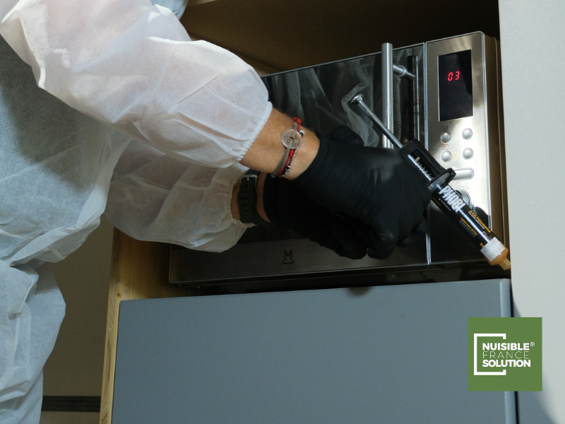 Désinsectisation à Toulouse et traitement contre les blattes : Éliminez les blattes de votre intérieur