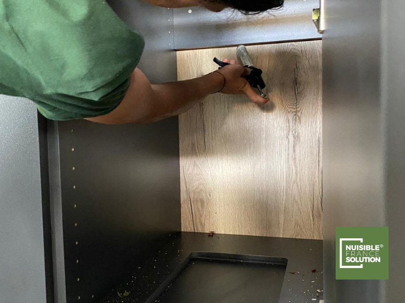 Nettoyage et désinfection d'une maison à Toulouse par une société professionnelle