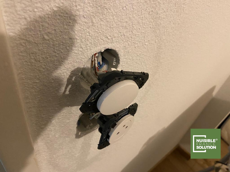 Débarrassage des encombrants extérieurs par une société professionnelle à Toulouse en Haute-Garonne