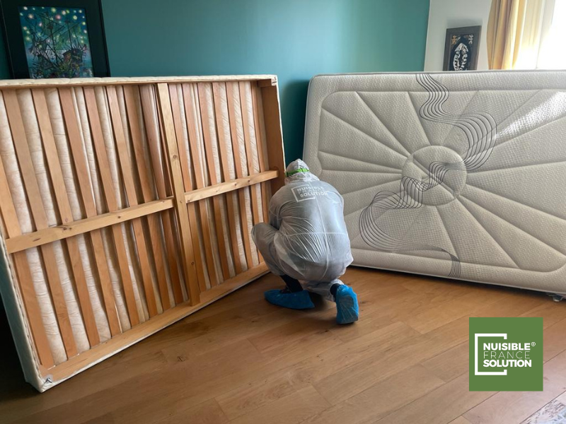 Prix d'un professionnel pour éliminer des punaises de lit dans une maison à Toulouse