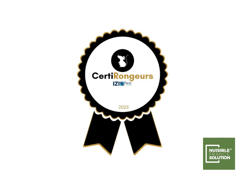 Dératisation Toulouse : Éradiquer les rats rapidement et efficacement