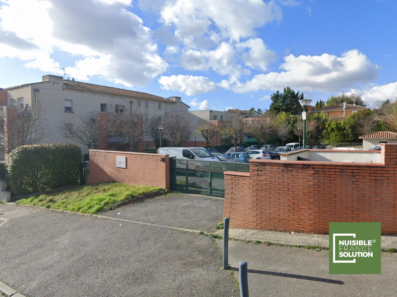 Désinfection d'un appartement par une société professionnelle (31)