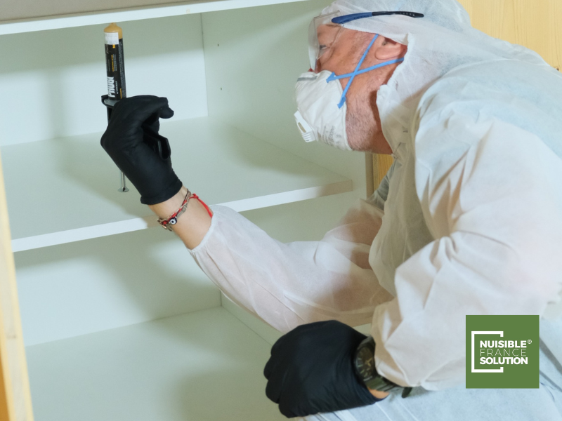 Où trouver un service de Désinsectisation pour se débarrasser des cafards à Toulouse ?