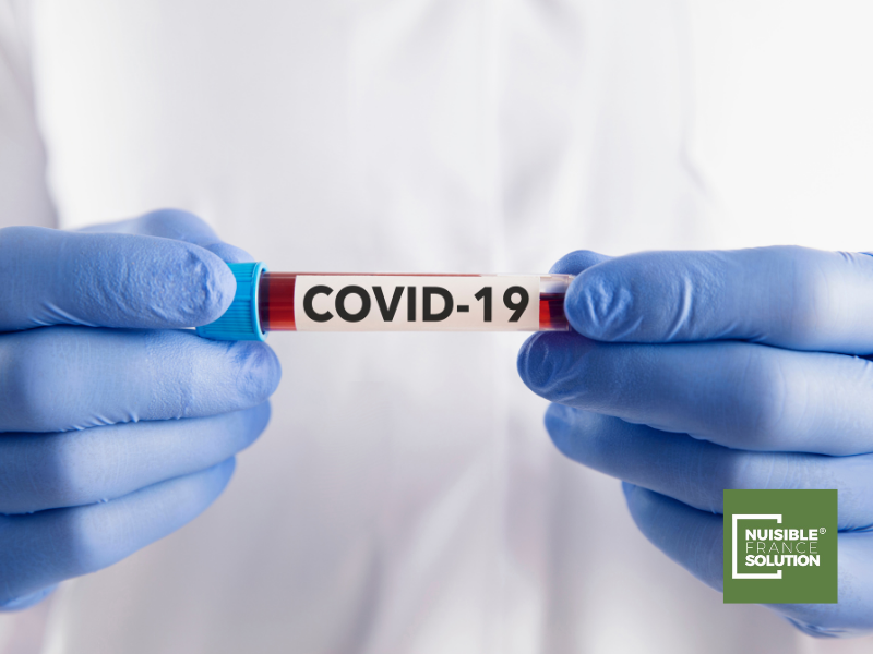 COVID 19 : nos experts s'engagent.