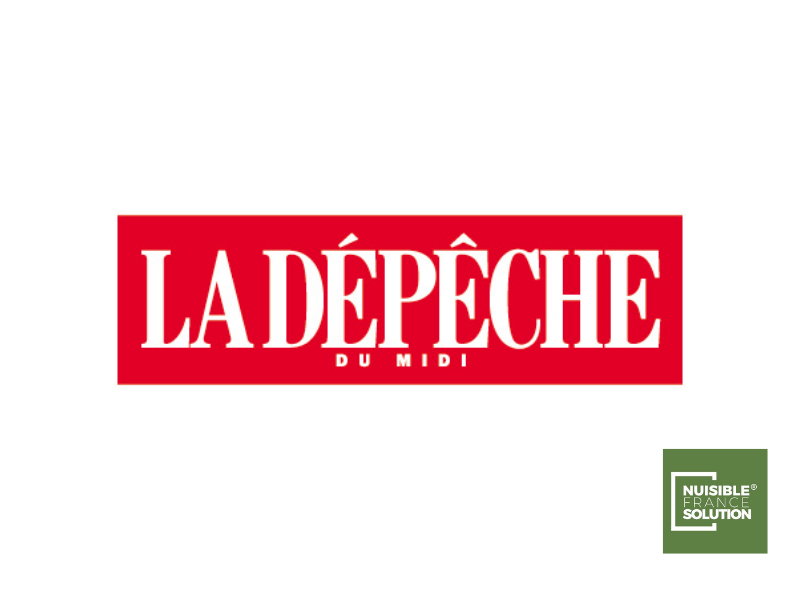 La presse parle de nous !