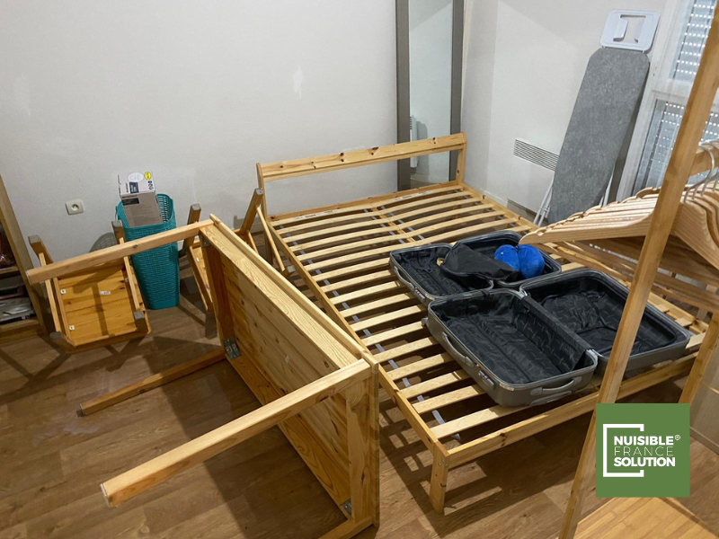 Comment savoir s'il y a des punaises de lit dans ma maison ?