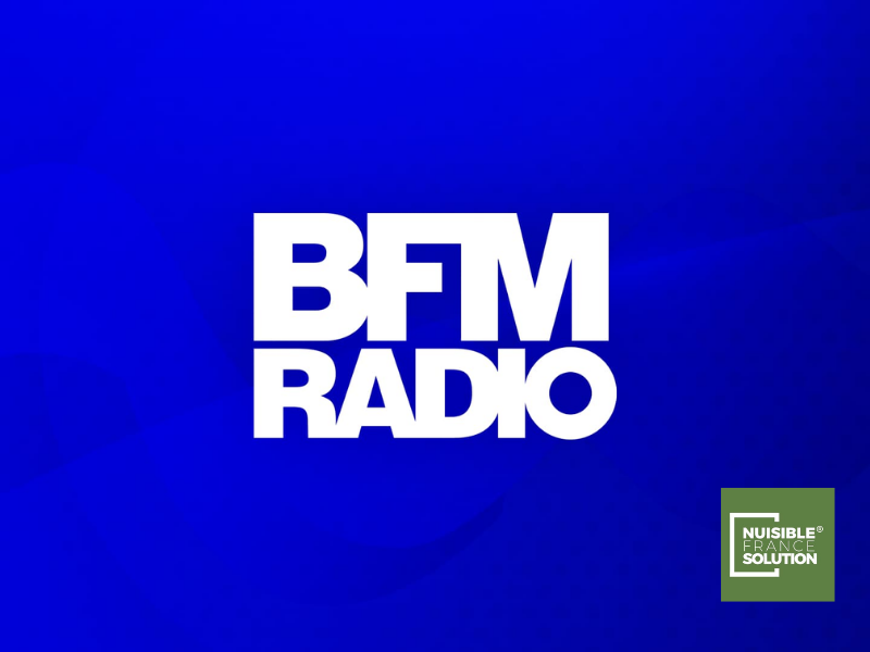 Interview de Marie GENTRIC - BFMTV Paris France - Janvier 2023