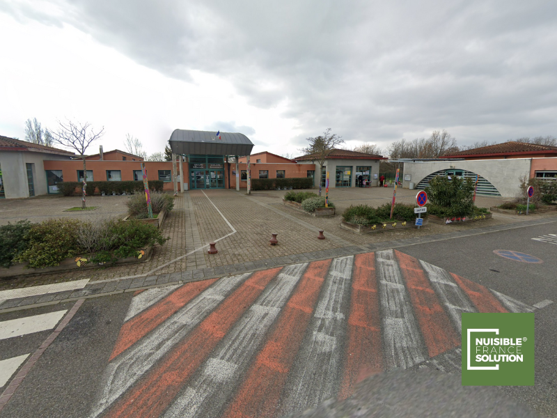 Entreprise de Désinfection : nettoyage et évacuation encombrants dans une résidence (Haute-Garonne 31)