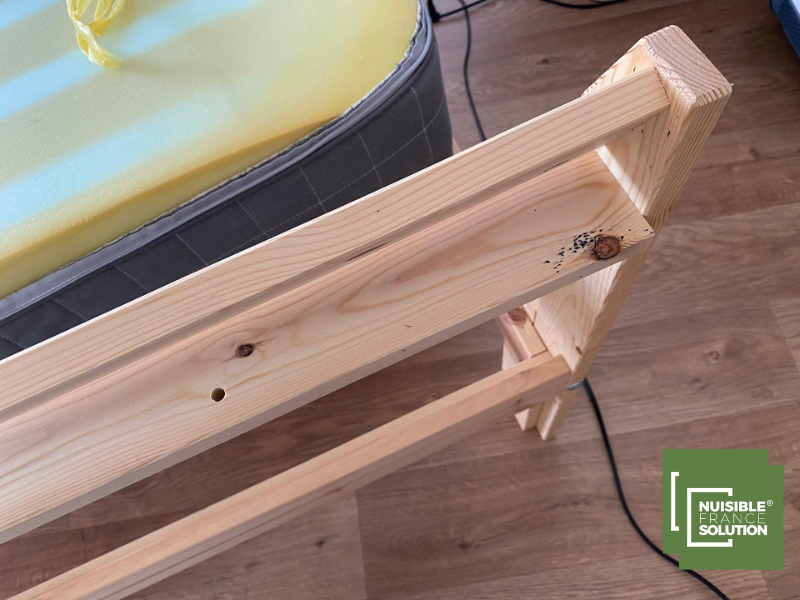 Piqûres de punaises de lit