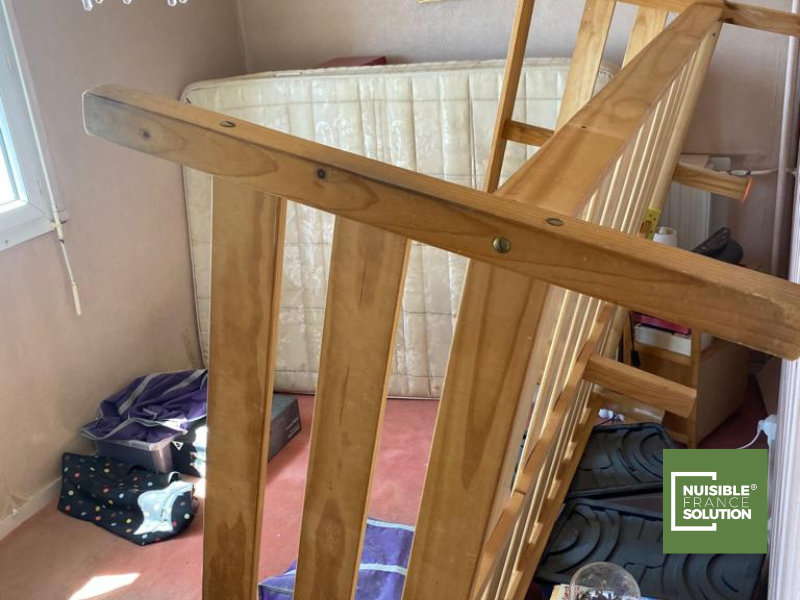 La punaise de lit est-elle liée à la propreté dans mon appartement à Toulouse ?