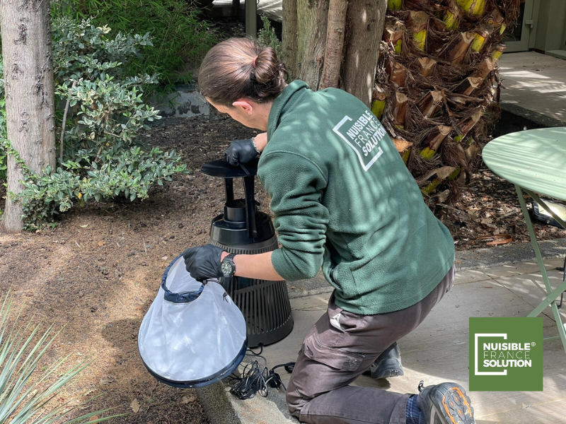 Comment choisir le meilleur traitement anti-moustiques à Toulouse : produits, pièges professionnels et boîtes à moustiques