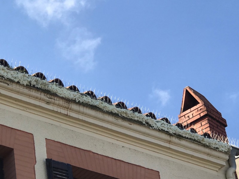 Solution anti-pigeon pour éloigner les oiseaux d'une entreprise à Toulouse (Haute-Garonne)