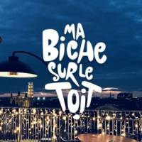 Réserver une table dans un restaurant gastronomique réputé à Toulouse